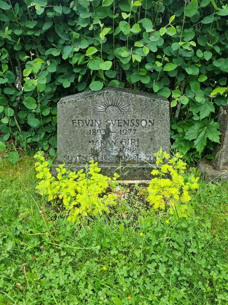Grave number: 1 29 5