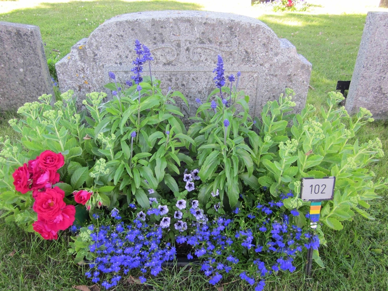 Grave number: KG C   101, 102