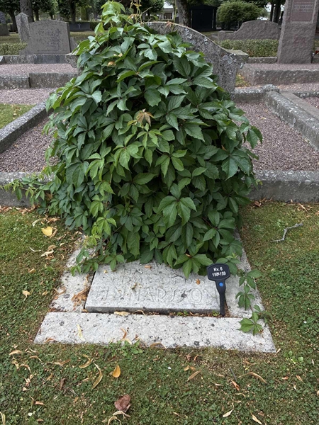 Grave number: 33 6   158-159