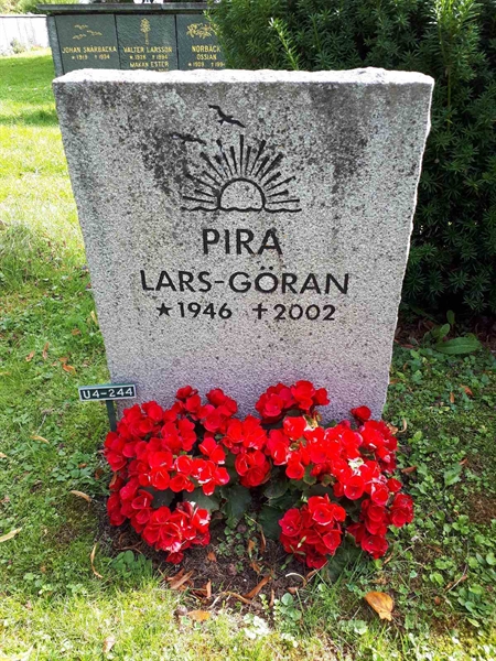 Hautatunnus: GK U 4   244