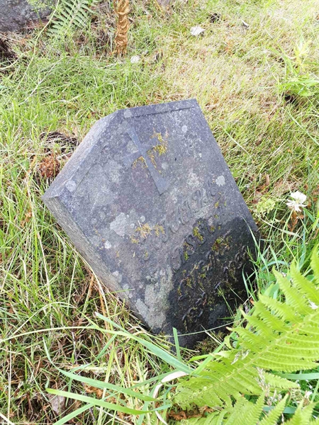 Hautatunnus: GK A 5   219M