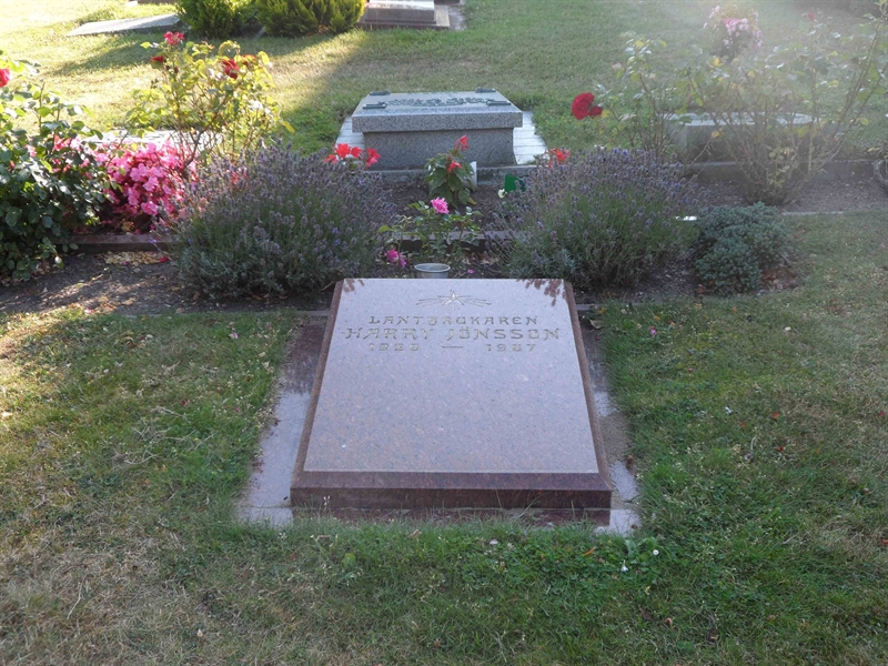 Grave number: SK A   132, 133