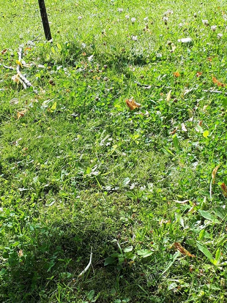 Hautatunnus: GK A 4    63V