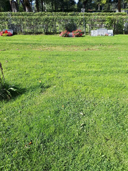 Gravnummer: NK A A    99