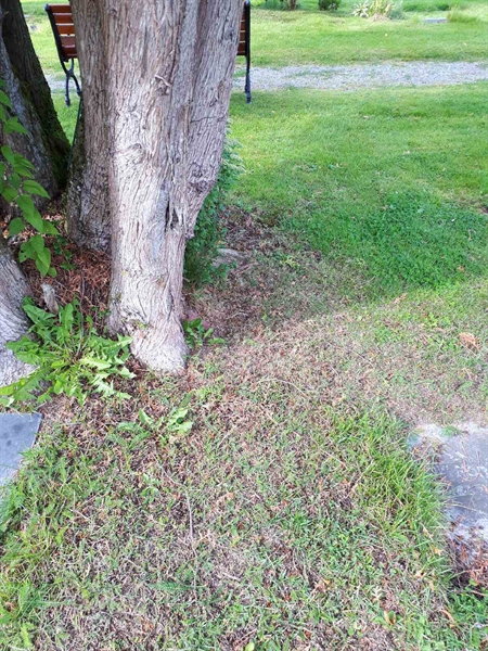 Gravnummer: NK A A   159