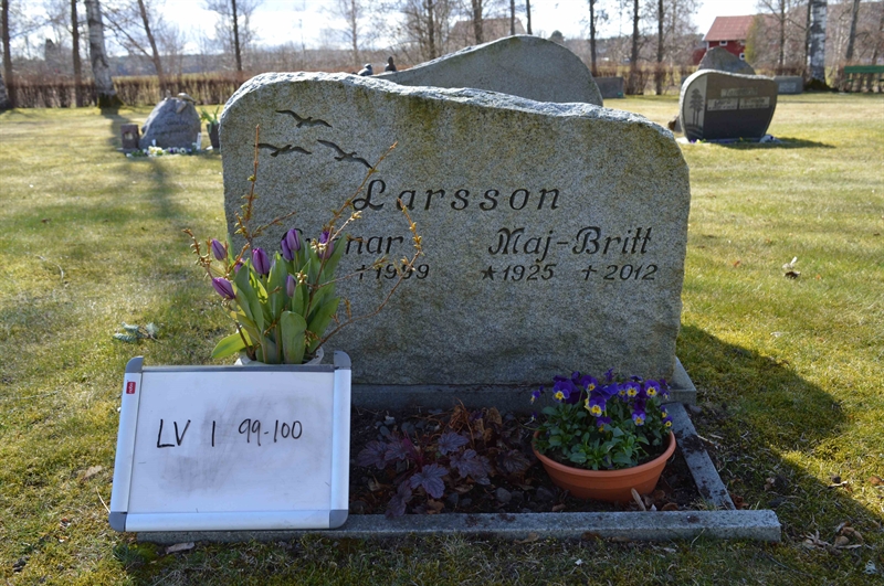 Grave number: LV I    99, 100