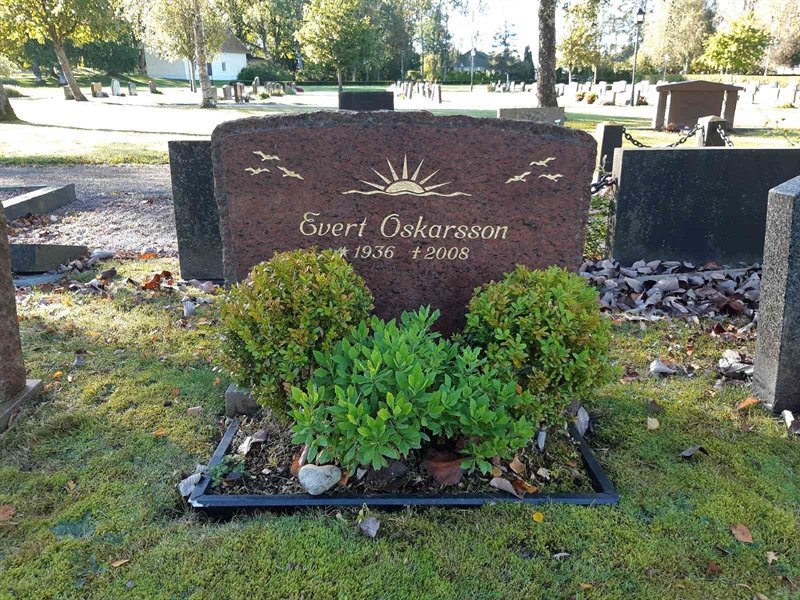 Hautatunnus: Fr 7   967