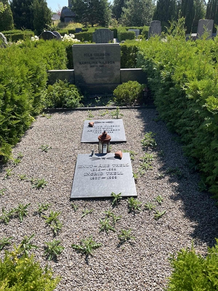 Grave number: NK V    34