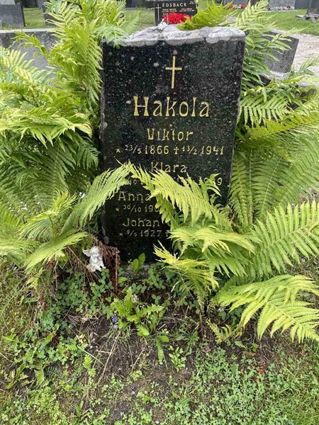 Gravnummer: N 4 4   528