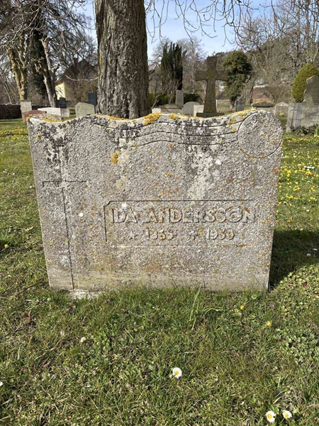 Gravnummer: LI   137