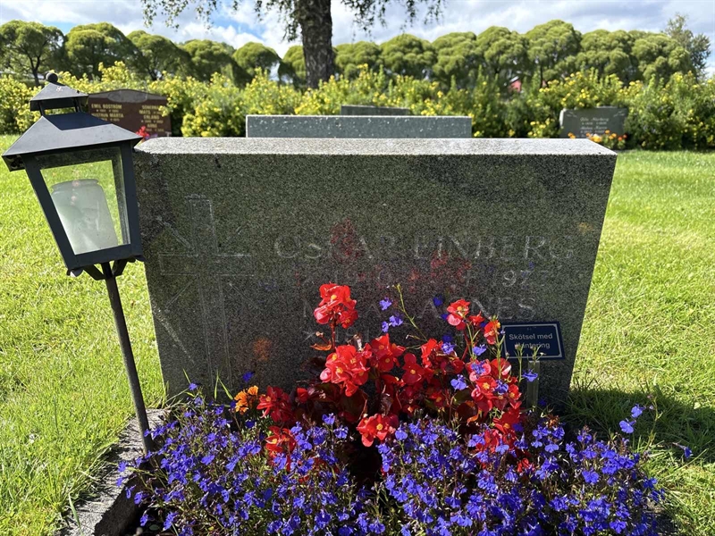 Grave number: SÄ NYA   216-217