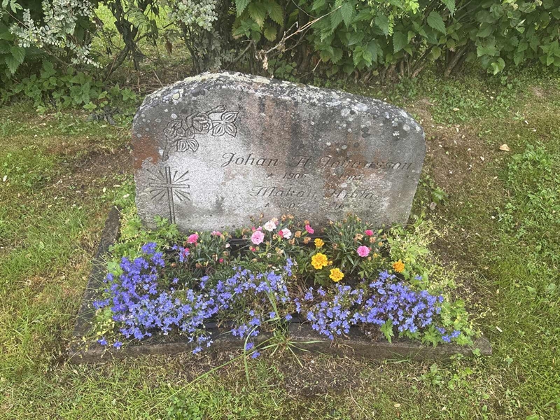 Grave number: 002 2   564