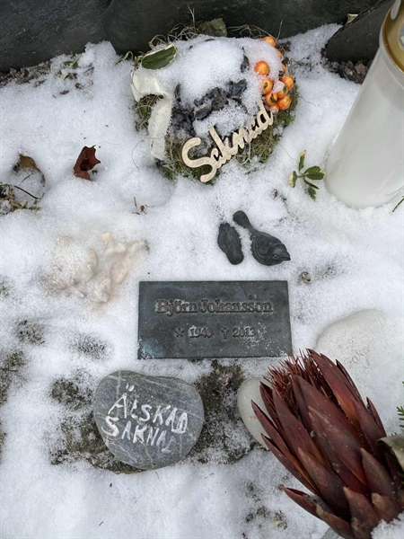 Gravnummer: SJ.A P    19