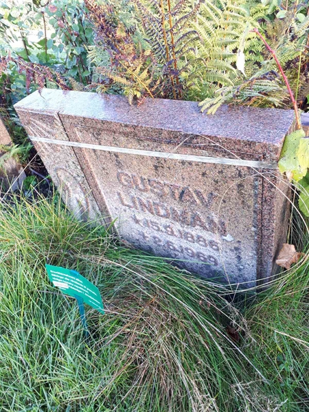 Gravnummer: NK F B    34