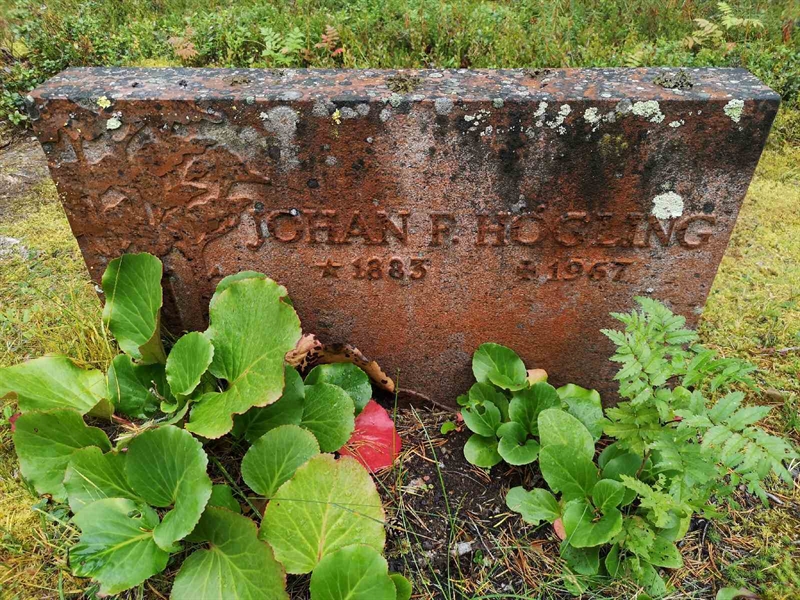 Hautatunnus: VLM 10     8:1