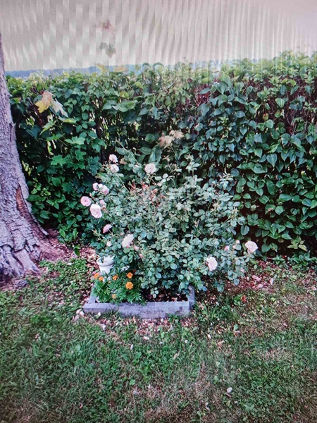 Gravnummer: Ut    10