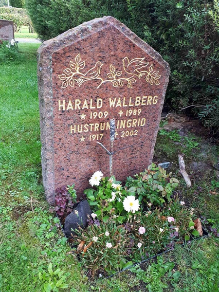 Hautatunnus: NK F D    19