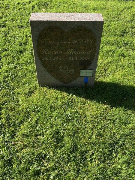 Grave number: 2 H    54