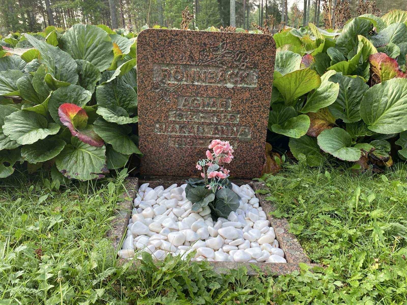 Grave number: 3 11 115