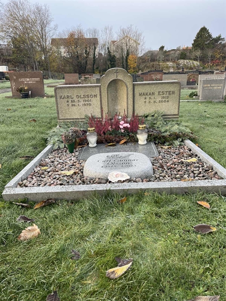 Hautatunnus: 7 05    85-2