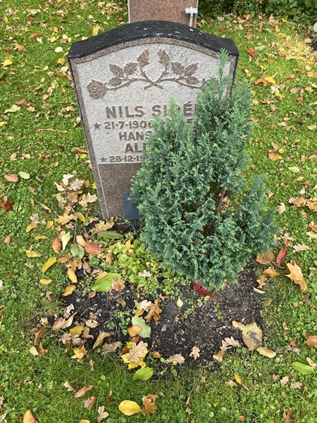 Hautatunnus: 1 H   264