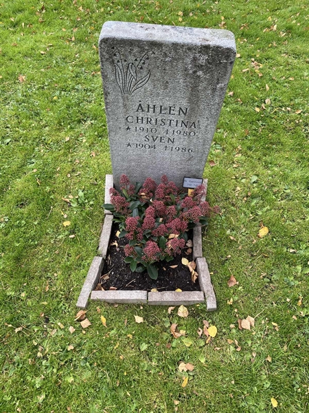 Hautatunnus: 2 C   740-741