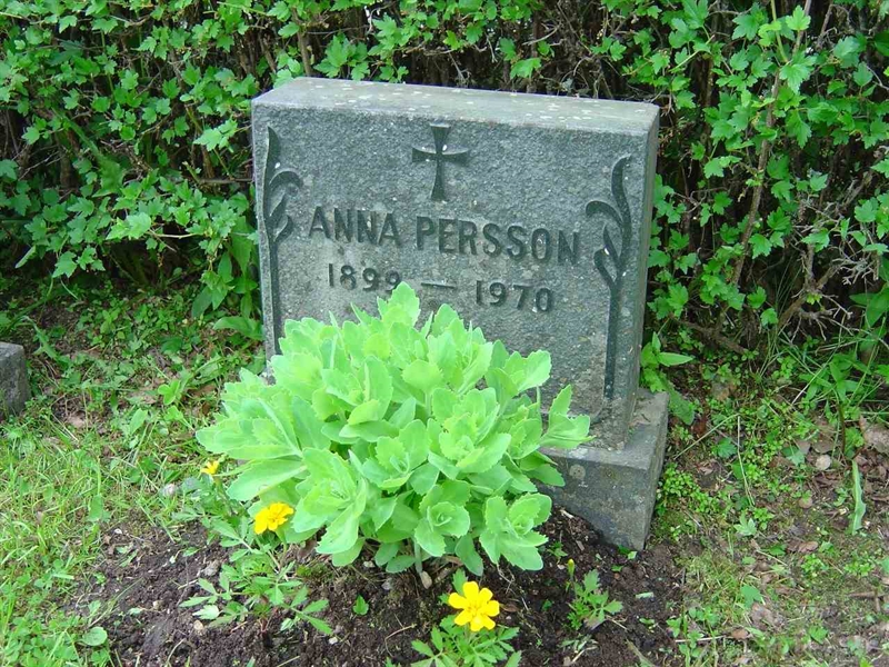 Grave number: A C   35