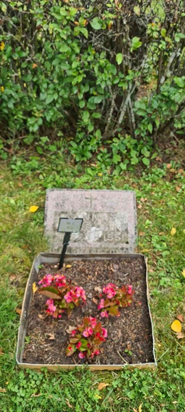 Grave number: M C  117a