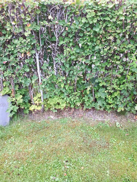 Grave number: NK F G    61