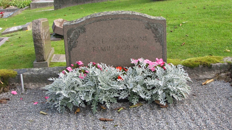 Grave number: HG DUVAN   377, 378