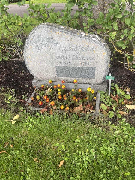 Grave number: 1 2 D   252