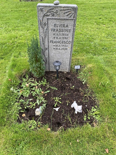 Hautatunnus: 2 C    18-19