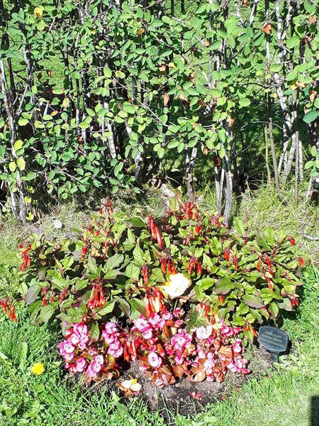 Gravnummer: NK F A   104