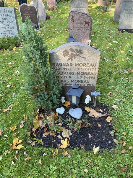 Hautatunnus: 1 H   463