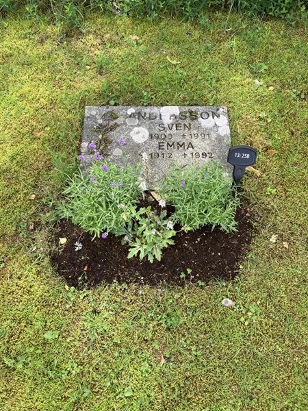 Grave number: 1 13    25B