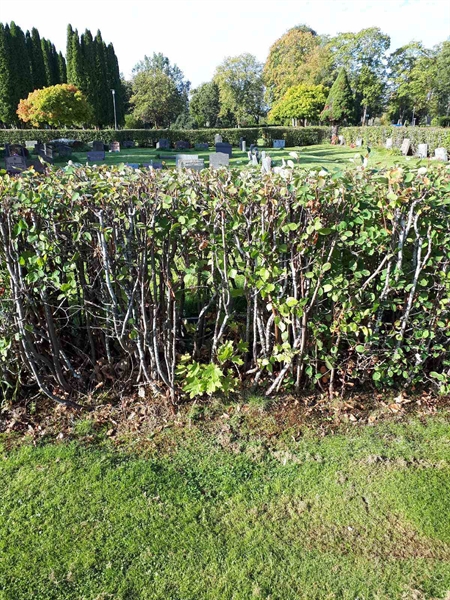 Gravnummer: NK F B   192A