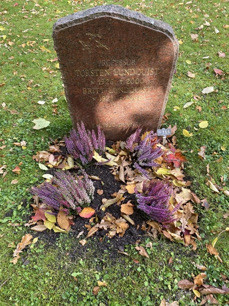 Gravnummer: 1 H   164