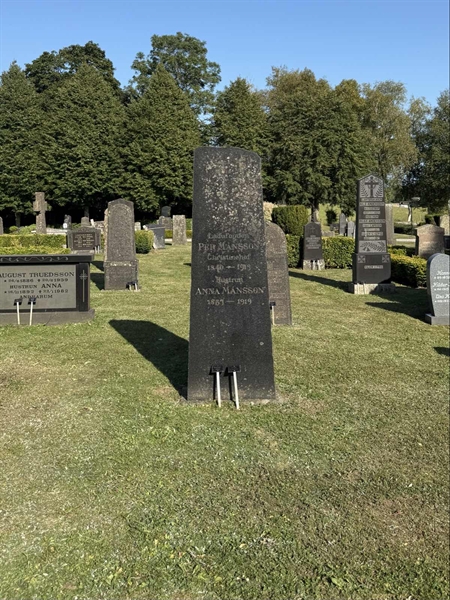 Hautatunnus: AN 8    46