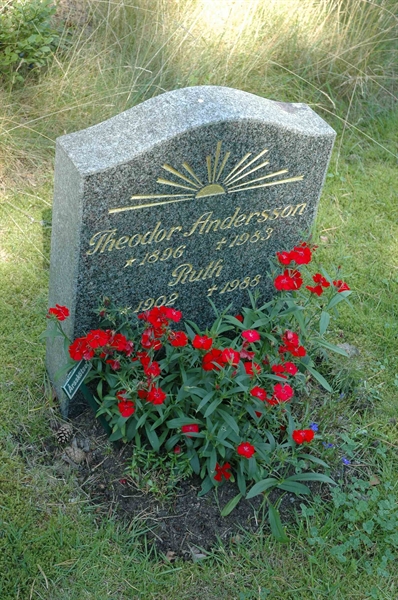 Grave number: H 3    5