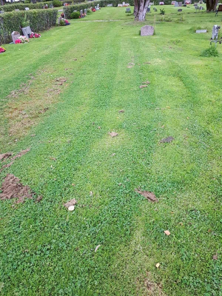 Gravnummer: NK A A     2