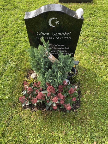 Hautatunnus: 2 G    36