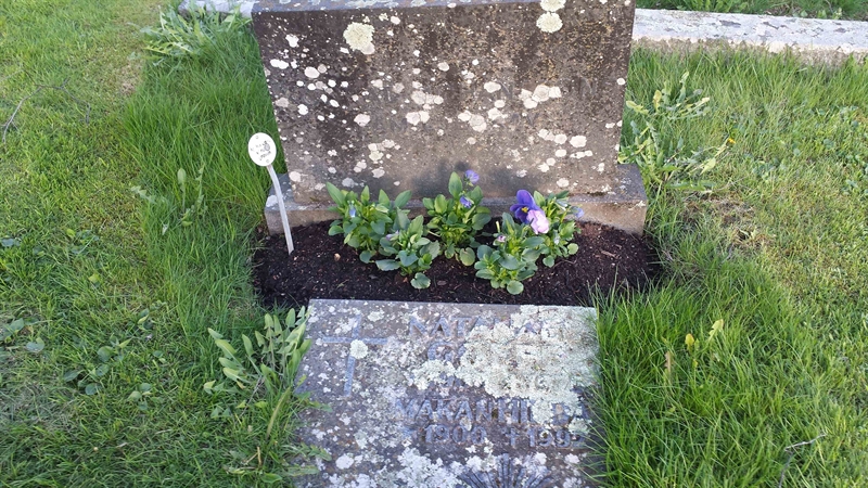Grave number: M B   13, 14