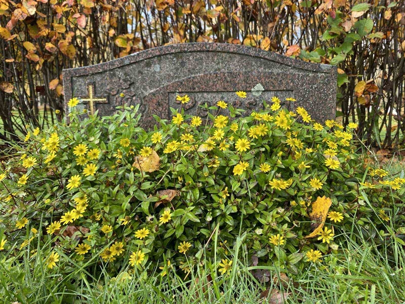 Gravnummer: 1 24     56