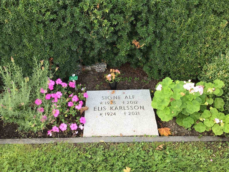 Hautatunnus: Kaga ny    19-20