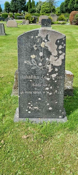 Grave number: LM 3 49  012