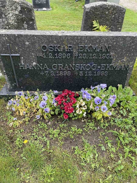 Gravnummer: N 4 4   508