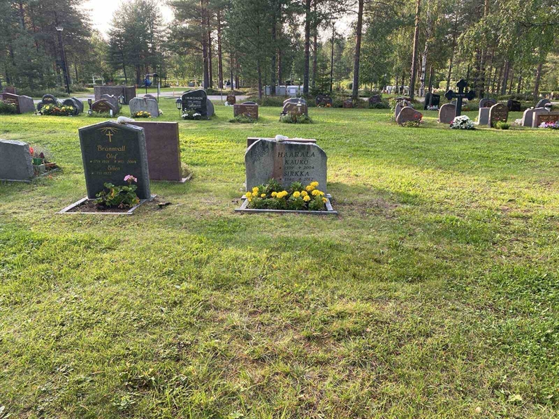 Grave number: 3 17   166