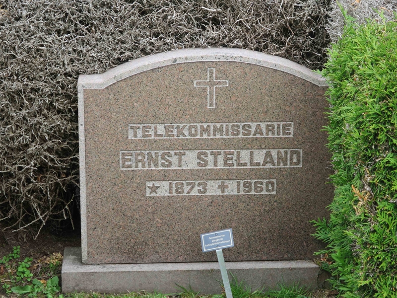 Grave number: HÖB 42    54