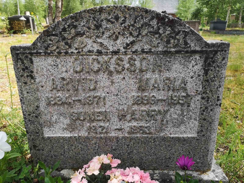 Hautatunnus: SK L    50