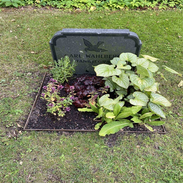 Grave number: 1 NB    75